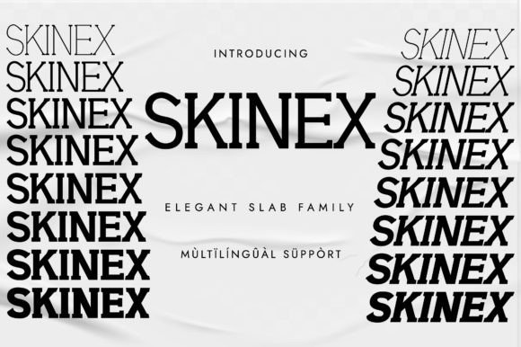 Discover Skinex: A Modern Slab Serif for Branding Projects