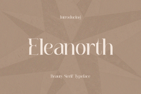 Eleanorth Font for Professional Branding