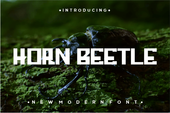 Horn Beetle Font for Handmade Creations