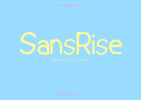 How Sansrise Transformed My Campaign Visuals